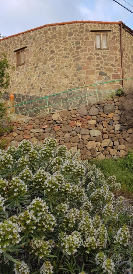 El Rinconcito De Tejeda Villa Dış mekan fotoğraf