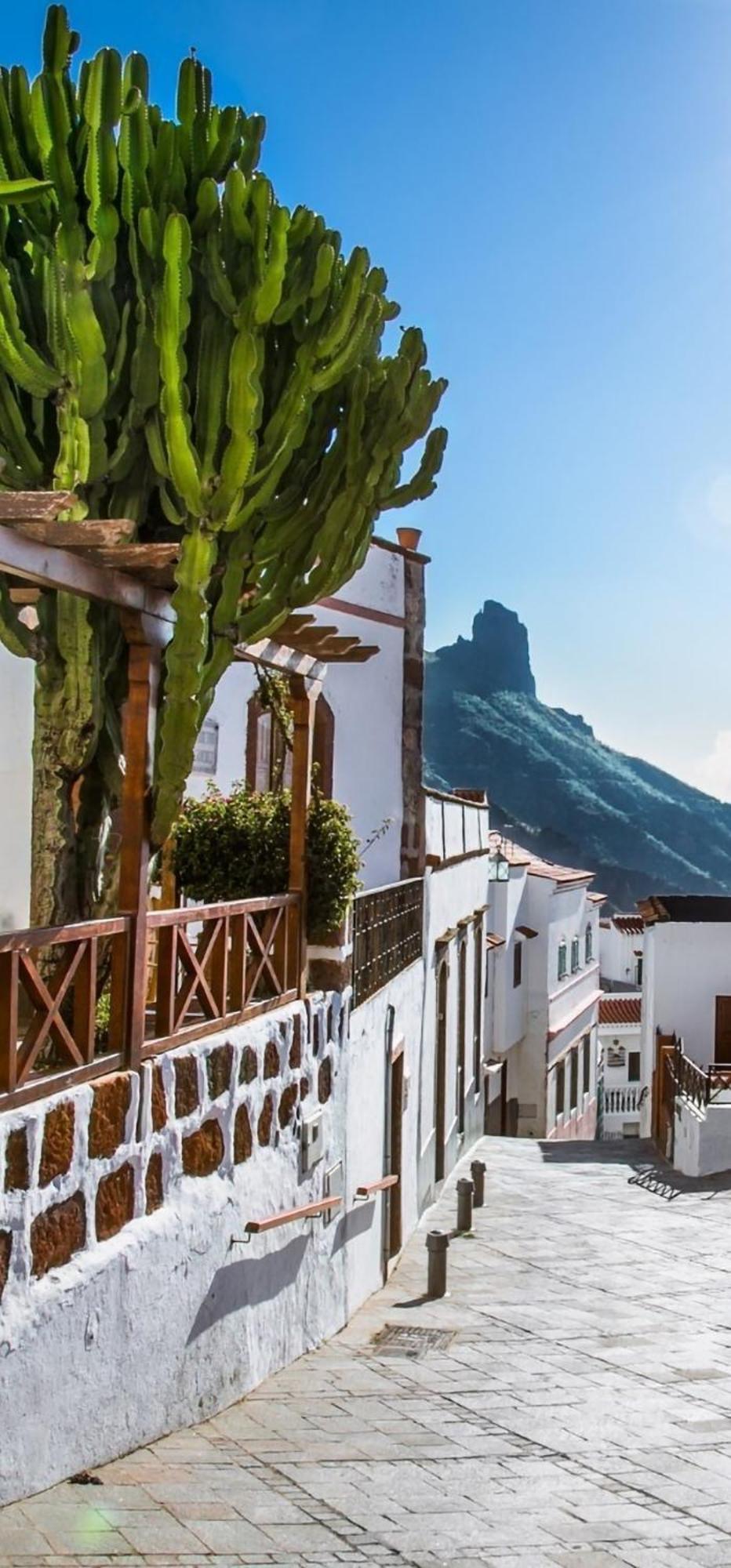 El Rinconcito De Tejeda Villa Dış mekan fotoğraf